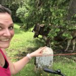 Das Beste im Allgäu: Überall gibt es Kühe! © www.ichmachdannmalsport.de/Nina-Carissima Schönrock